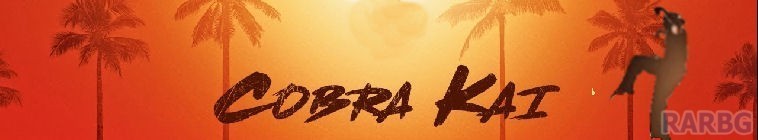 Cobra.Kai.S02.WEBRip.x264-ION10