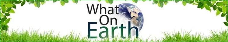 What.on.Earth.S11 卫星看地球2.jpg