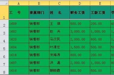 excel表格进行内容自定义筛选教程
