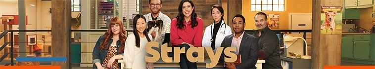 Strays.S01 2.jpg