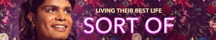 Sort.Of.S01 微妙2.jpg