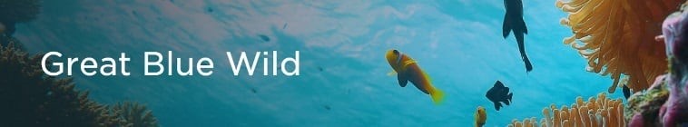 Great.Blue.Wild.S01 2.jpg