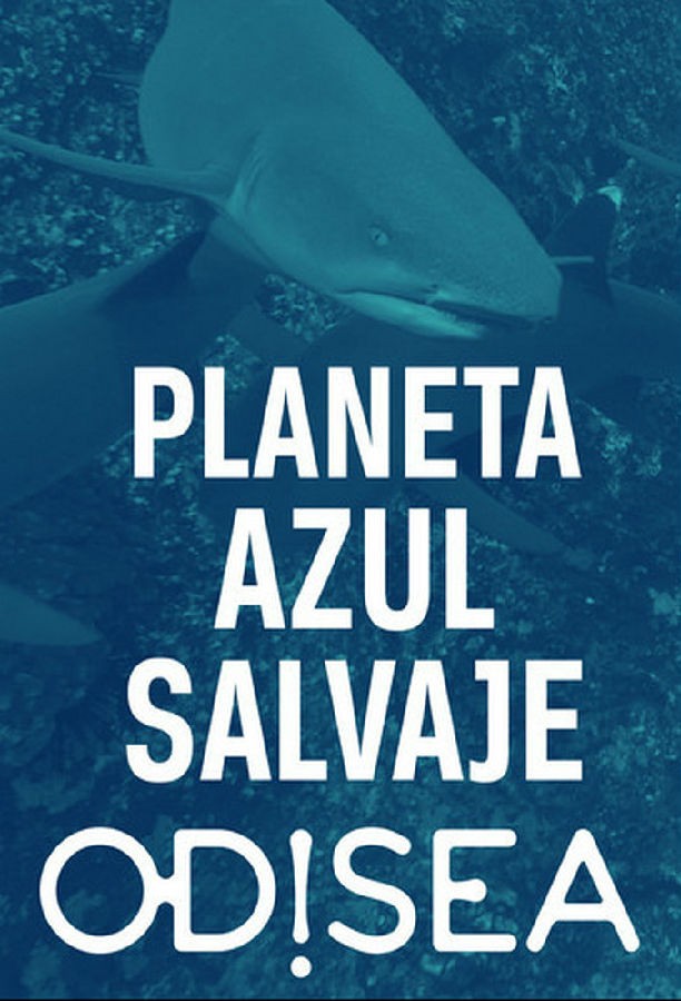 Great.Blue.Wild.S01 1.jpg