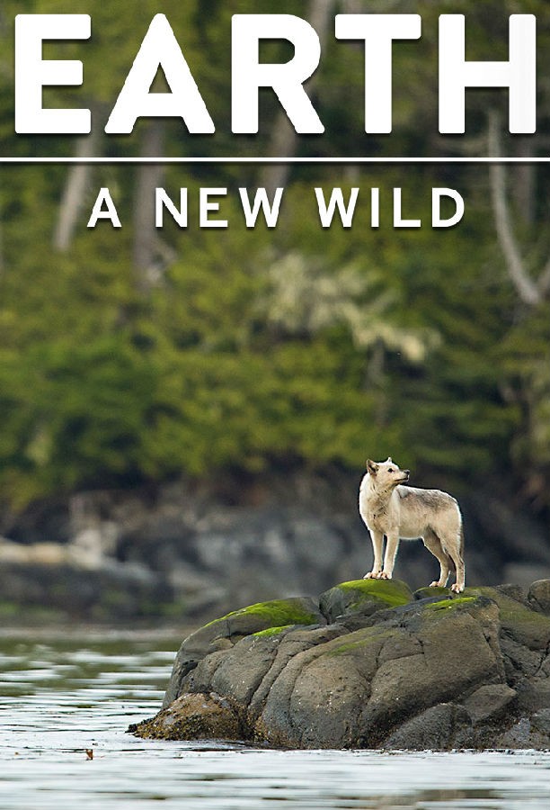 Earth.A.New.Wild.S01 1.jpg