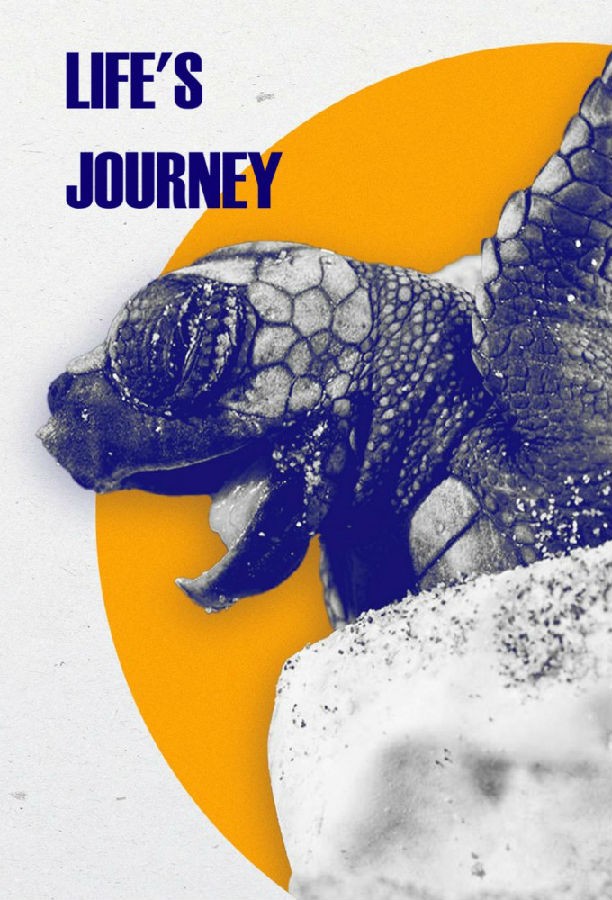 Lifes.Journey.S01 1.jpg