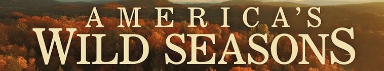 Americas.Wild.Seasons.S01 美国荒野的季节2.jpg