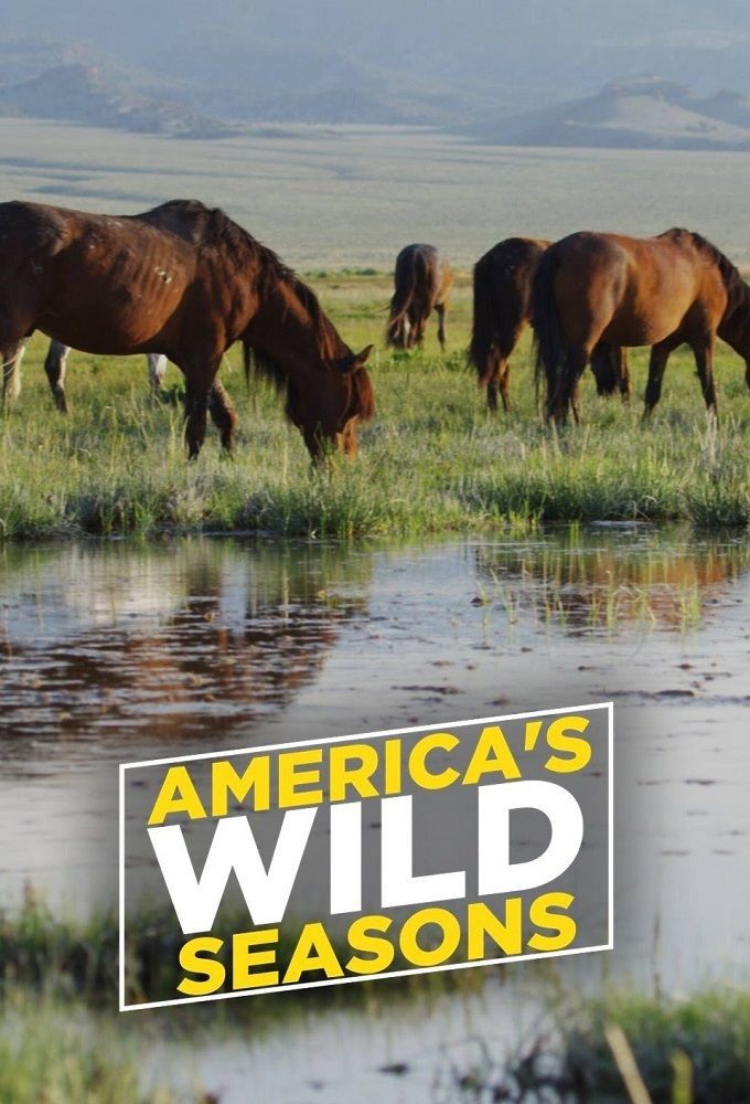 Americas.Wild.Seasons.S01 美国荒野的季节1.jpg