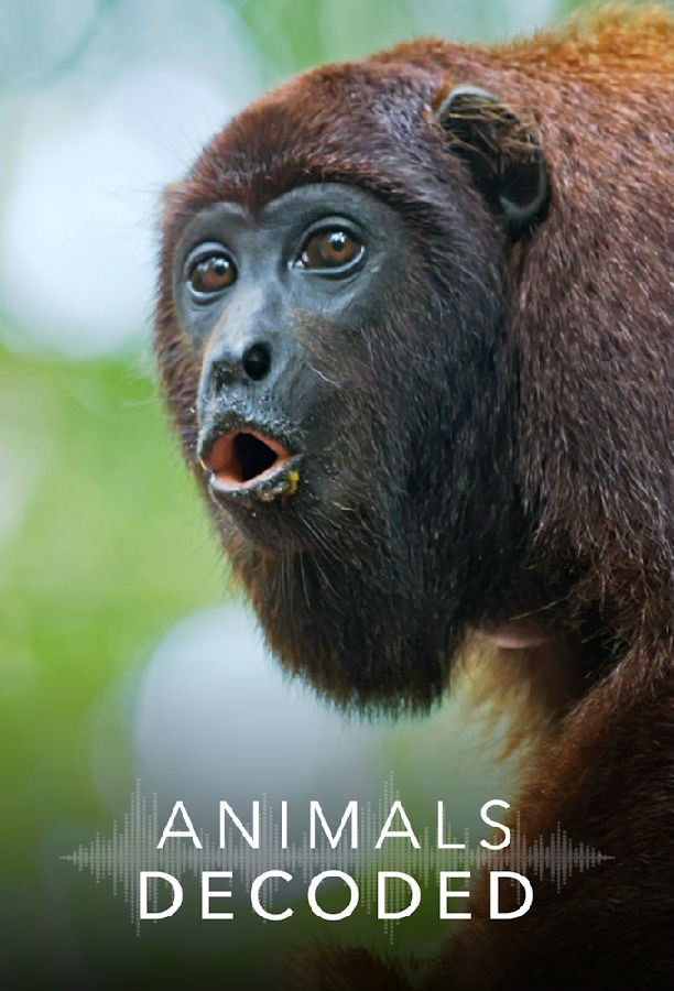 Animals.Decoded.S01 动物解码1.jpg