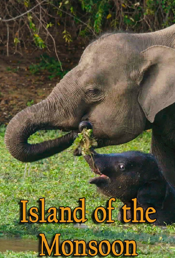 Island.of.the.Monsoon.S01 季风群岛1.jpg