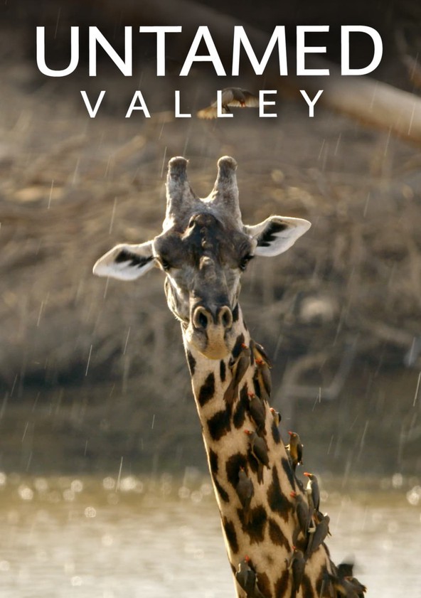Untamed.Valley.S01 野性山谷1.jpg