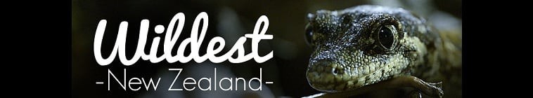 Wildest.New.Zealand.S01 2.jpg