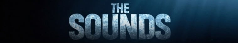 The Sounds 2020 溺湾 0.jpg