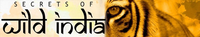 Secrets.Of.Wild.India.S01 2.jpg