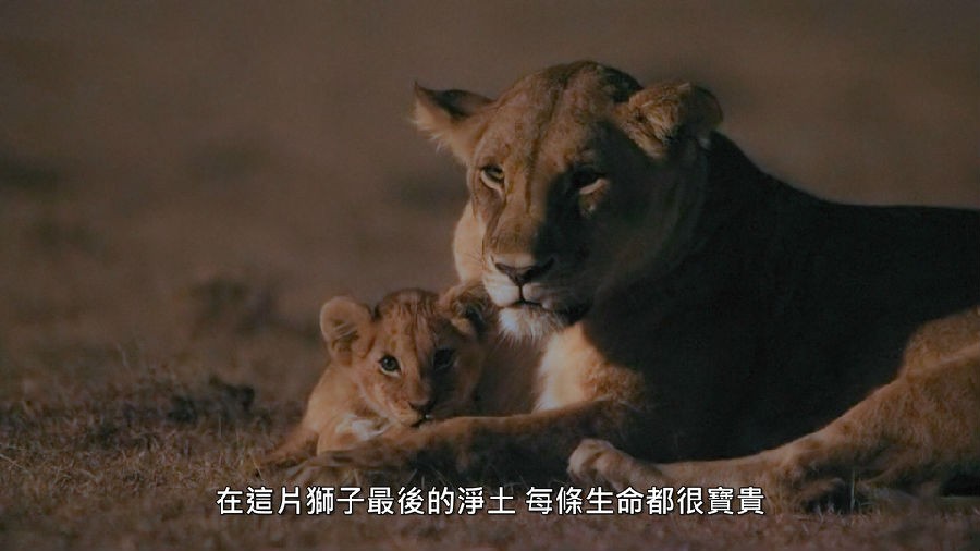 Earth.at.Night.in.Color.S01E01.1080p.WEB.h264-KOGi.mkv_002607.641.jpg