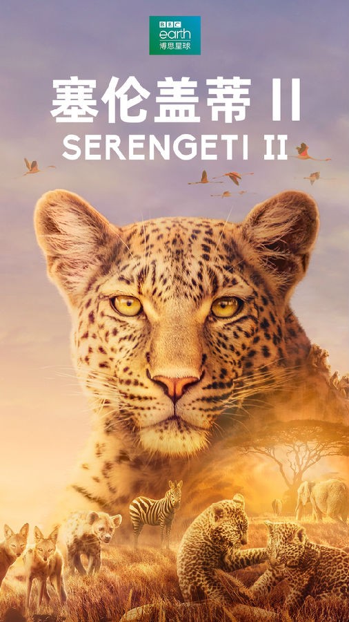 Serengeti.S02 塞伦盖蒂1.jpg