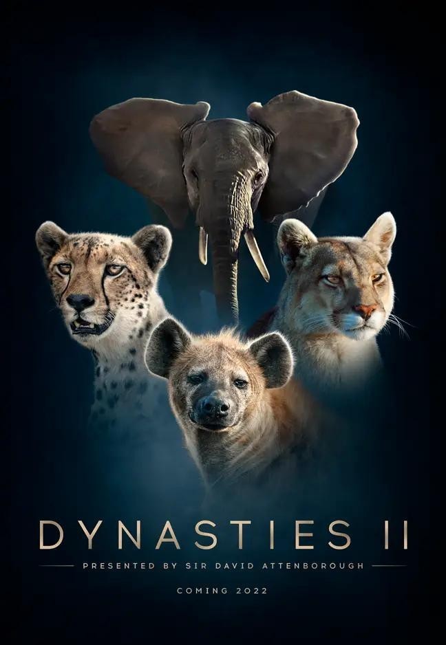 Dynasties.2018.S02 王朝1.jpg