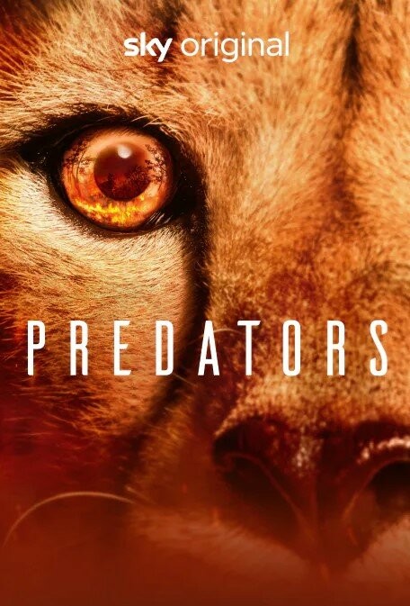 Predators.2022.S01 捕食者1.jpg