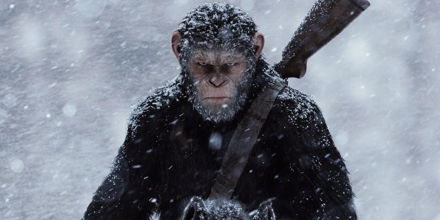 电影《人猿星球国度》增添演员 威廉姆·H·梅西加盟