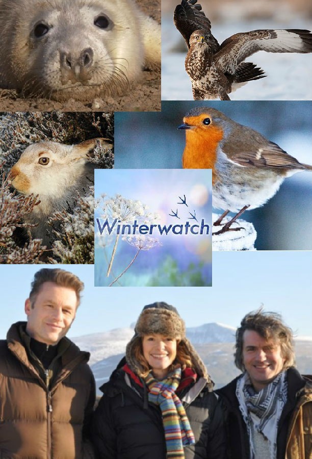 Winterwatch.S11 冬季观察1.jpg