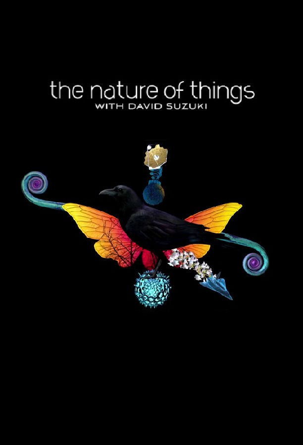 The.Nature.of.Things.with.David.Suzuki.S62 事物的本质1.jpg
