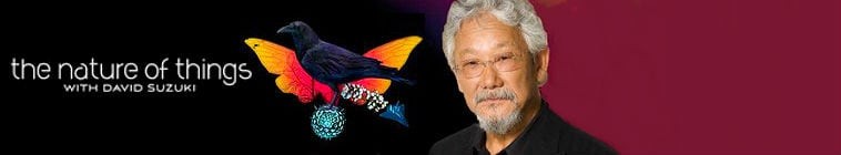 The.Nature.of.Things.with.David.Suzuki.S62 事物的本质2.jpg