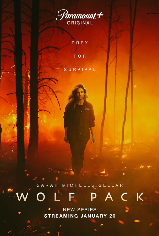 Wolf.Pack.S01 狼群1.jpg