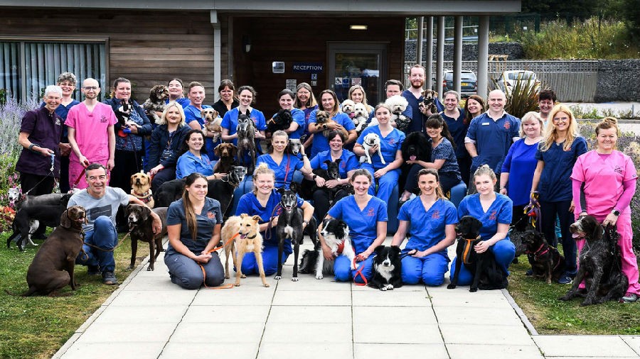 24.7.Pet.Hospital.S01 1.jpg