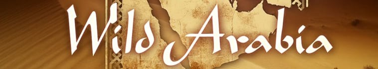Wild.Arabia.S01 狂野阿拉伯2.jpg
