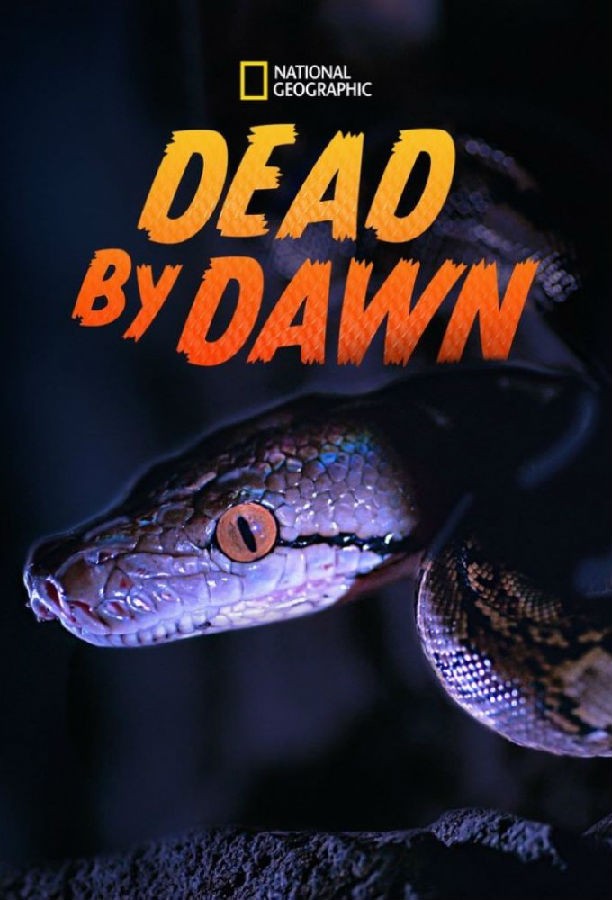 Dead.by.Dawn.S01 黑夜杀机1.jpg