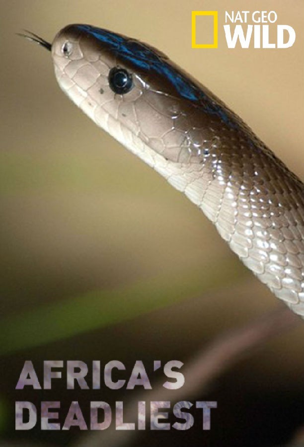 Africas.Deadliest.S07 非洲最致命的1.jpg