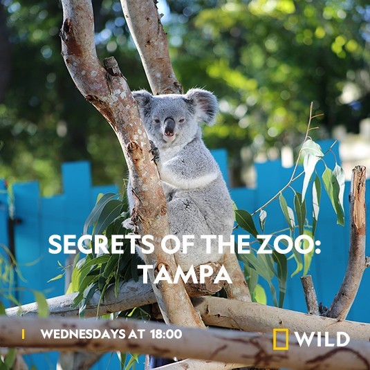 Secrets.of.the.Zoo.Tampa.S03 动物园秘辛:坦帕湾1.jpg