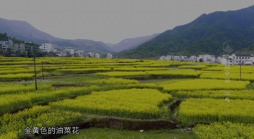 QQ截图20230516075700.png