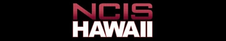 NCIS.Hawaii.S02 海军罪案调查处:夏威夷2.jpg