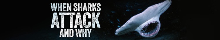 When.Sharks.Attack.And.Why.S01 为什么鲨鱼攻击2.jpg