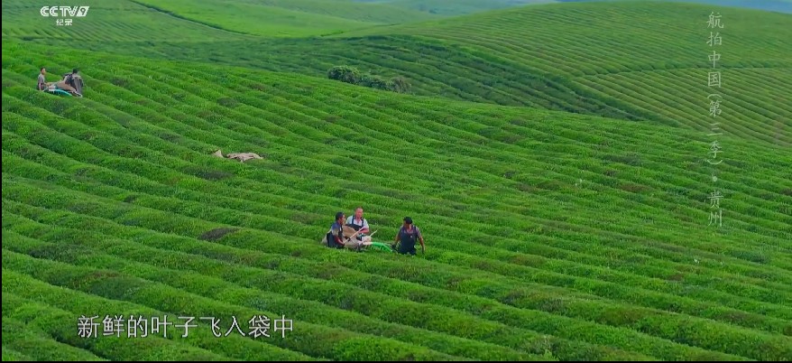 QQ截图20230704135858.png