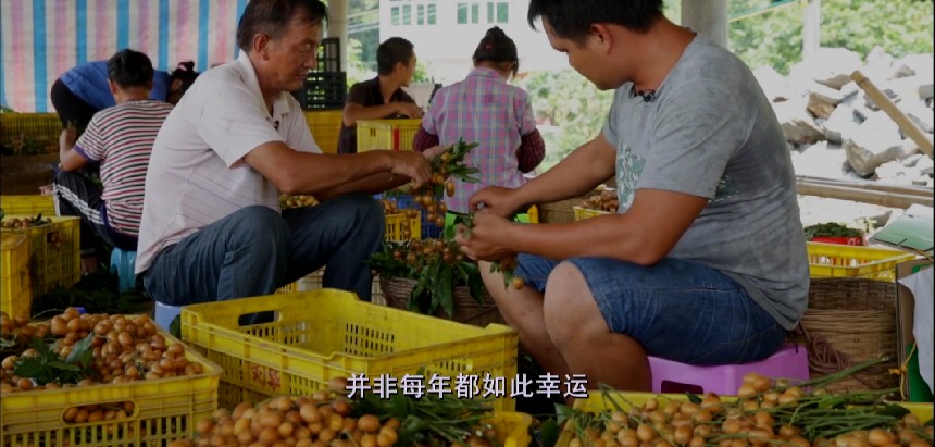 QQ截图20230705092407.png