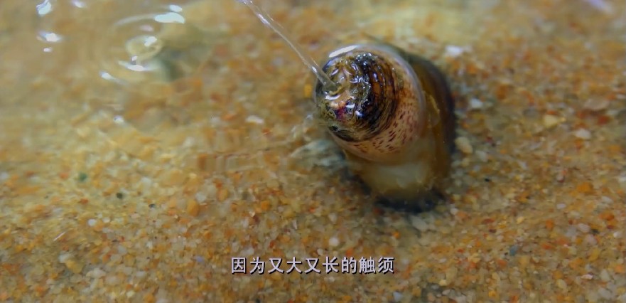 QQ截图20230706071206.png