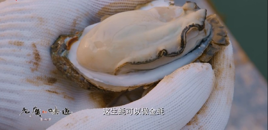 QQ截图20230708172206.png