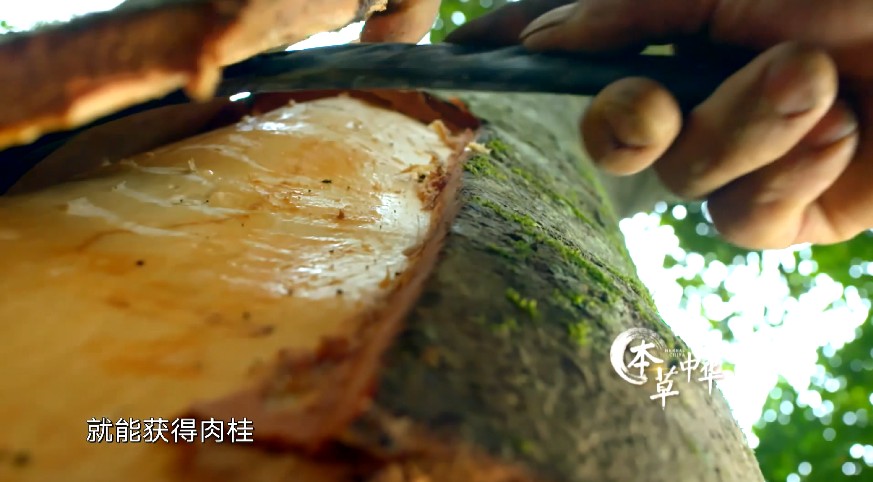 QQ截图20230716171336.png