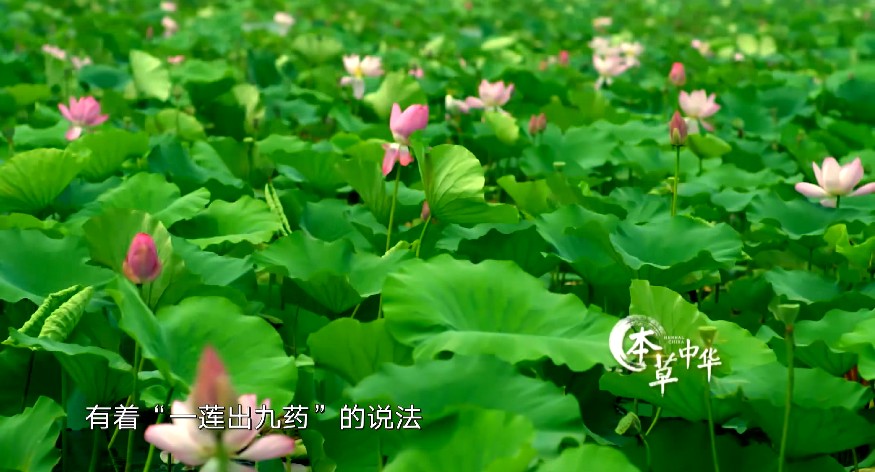 QQ截图20230716171408.png