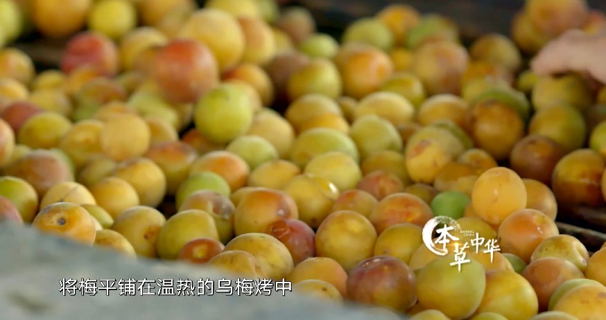 QQ截图20230716171508.png