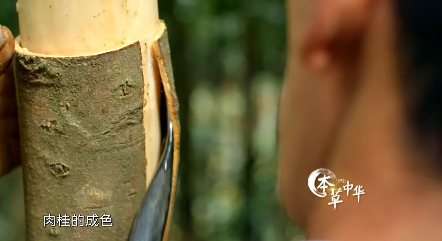 QQ截图20230716171323.png