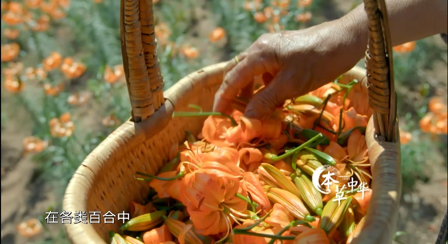 QQ截图20230716171519.png