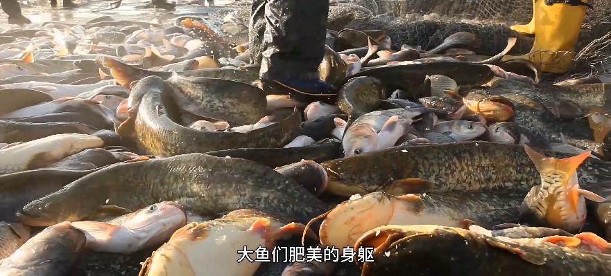 QQ截图20230720132623.png