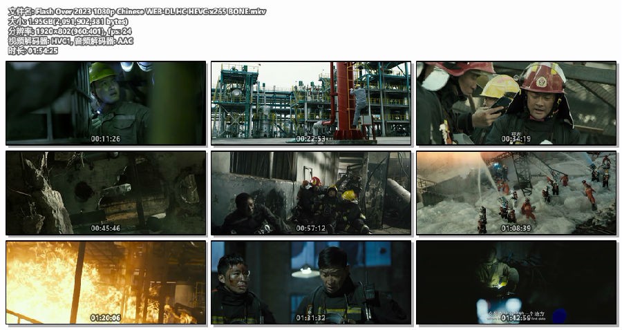 Flash Over 2023 1080p Chinese WEB-DL HC HEVC x265 BONE.mkv.jpg