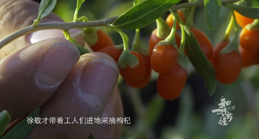QQ截图20230809100848.png