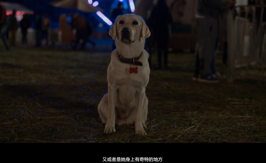 QQ截图20230913131258.png