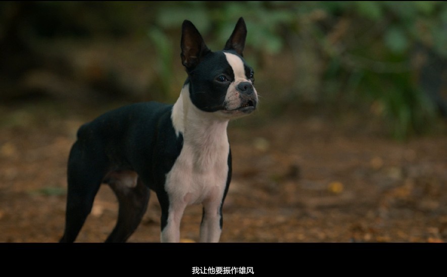 QQ截图20230913131242.png