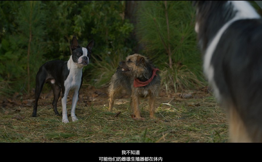 QQ截图20230913131232.png