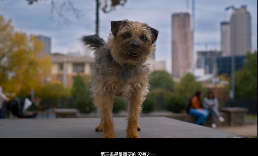 QQ截图20230913131209.png